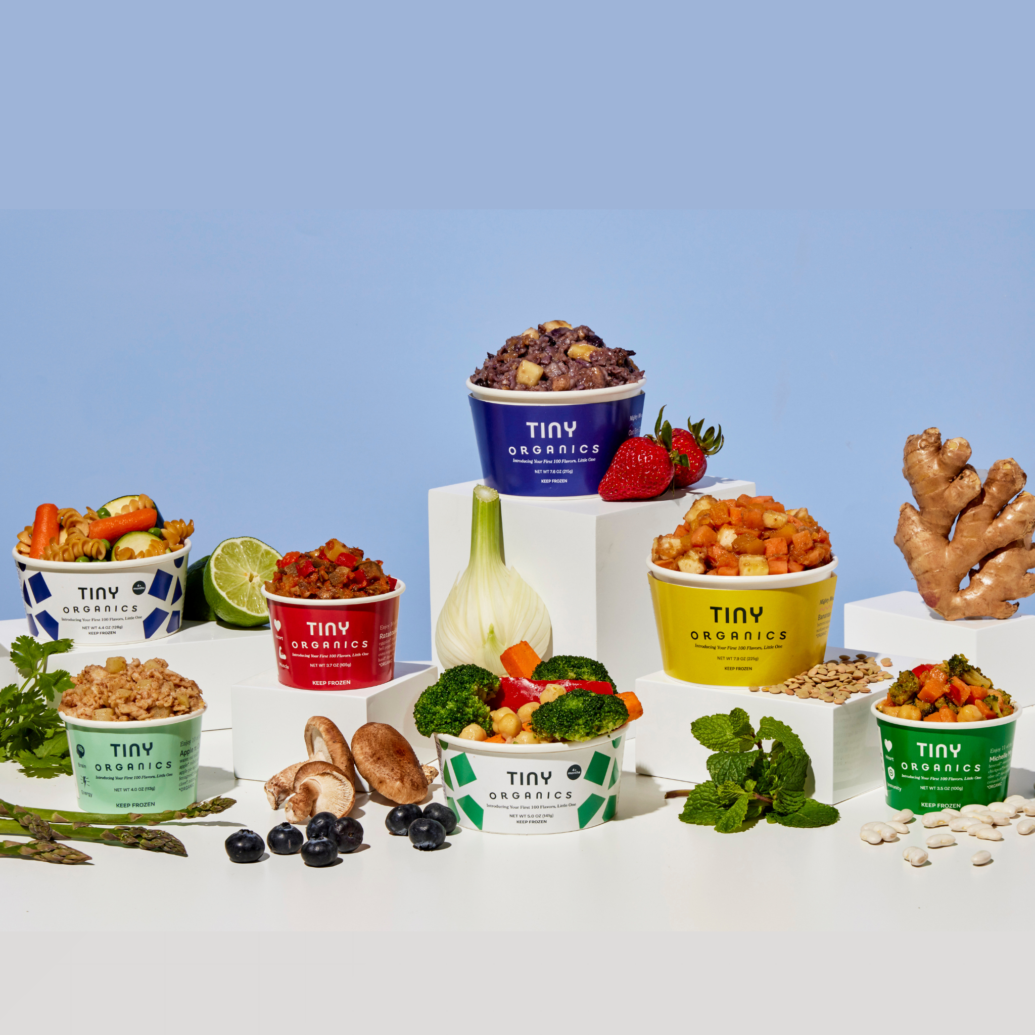 Organic Baby Food Bundle - Wholesome & Nutritious Meals for Infants 6+ Months | First Foods, Snacks & Purees for Healthy Growth | Perfect for Home, Travel & Daycare