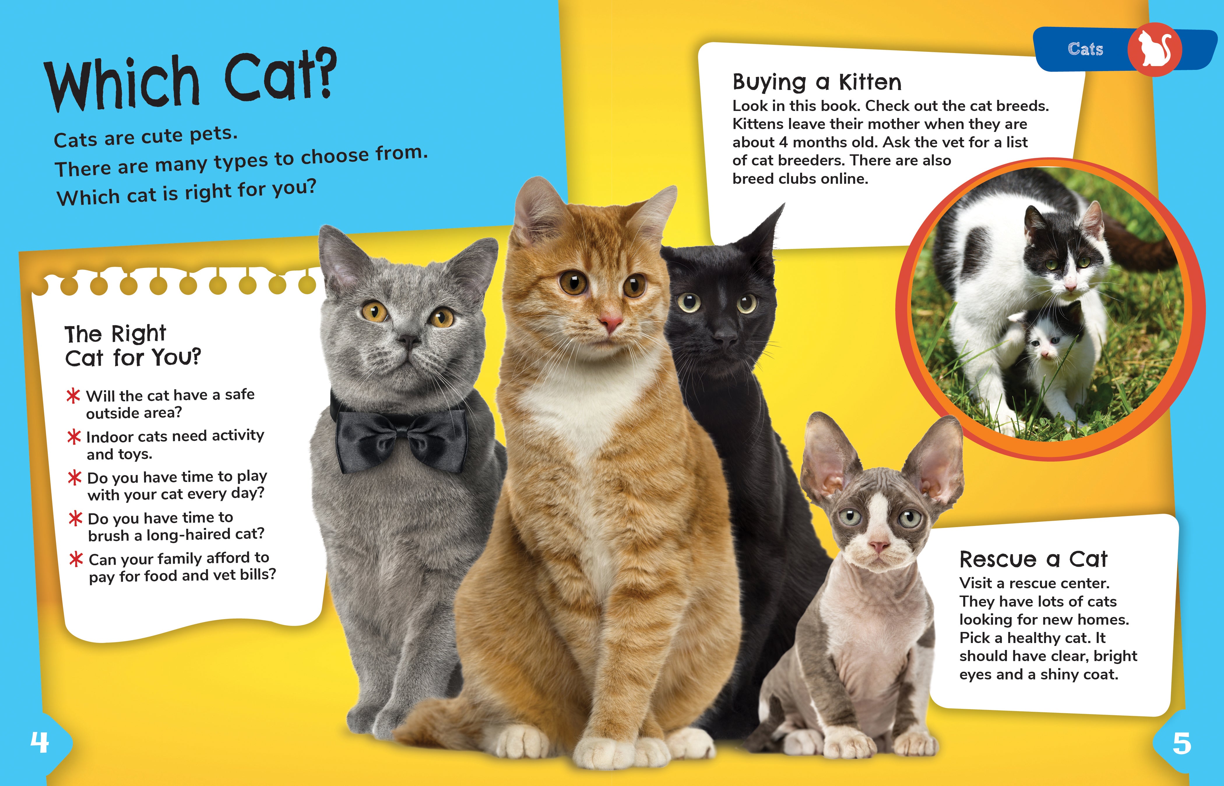 Cat Detective Toys for Pets - Fun Interactive Puzzle Games for Smart Cats | Indoor Play & Mental Stimulation