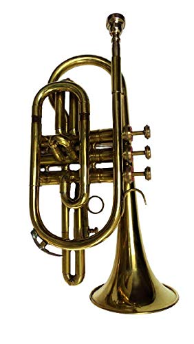 Premium Bb Cornet with Gold Finish - Professional Brass Instrument for Bands & Soloists - Includes Protective Case - Ideal for Performances, Practice & Music Education