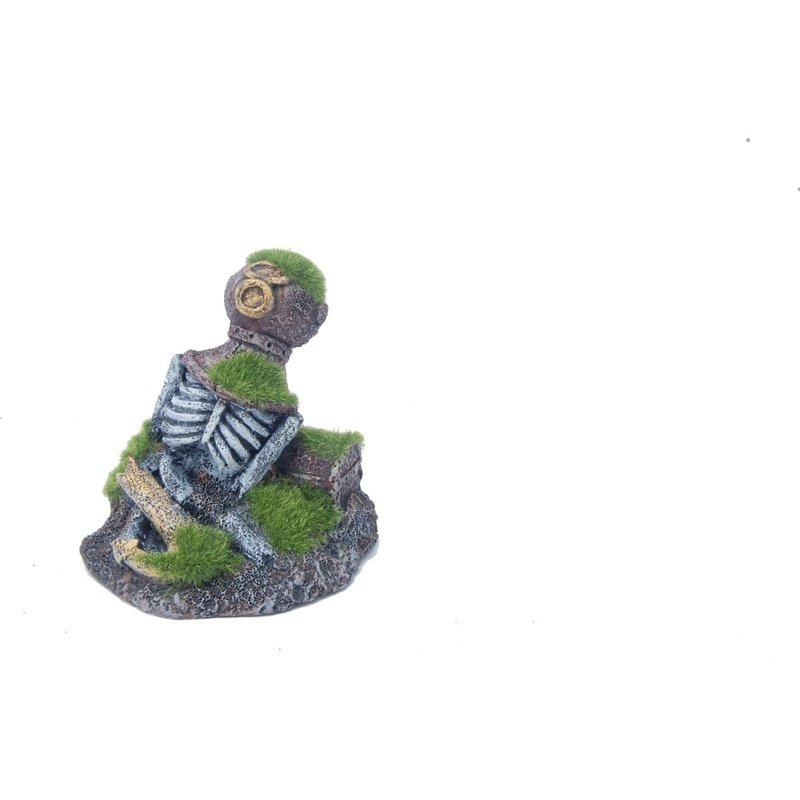 Aquatopia Skeleton with Moss - 10 x 7 x 10 cm Miniature Terrarium Decor for Halloween, Gothic Home Decor & Fairy Garden Accessories