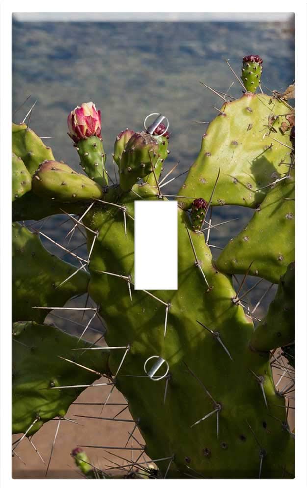 Single Toggle Switch Plate Cover with Prickly Pear Cactus Design - Durable Wall Plate for Home & Office Decor | Perfect for Living Rooms, Bedrooms, and Kitchens
