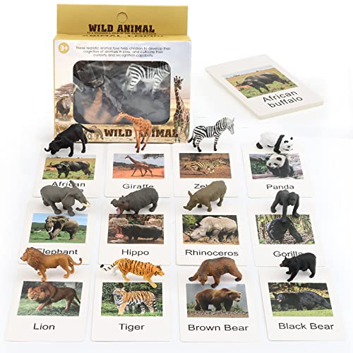 Zoo