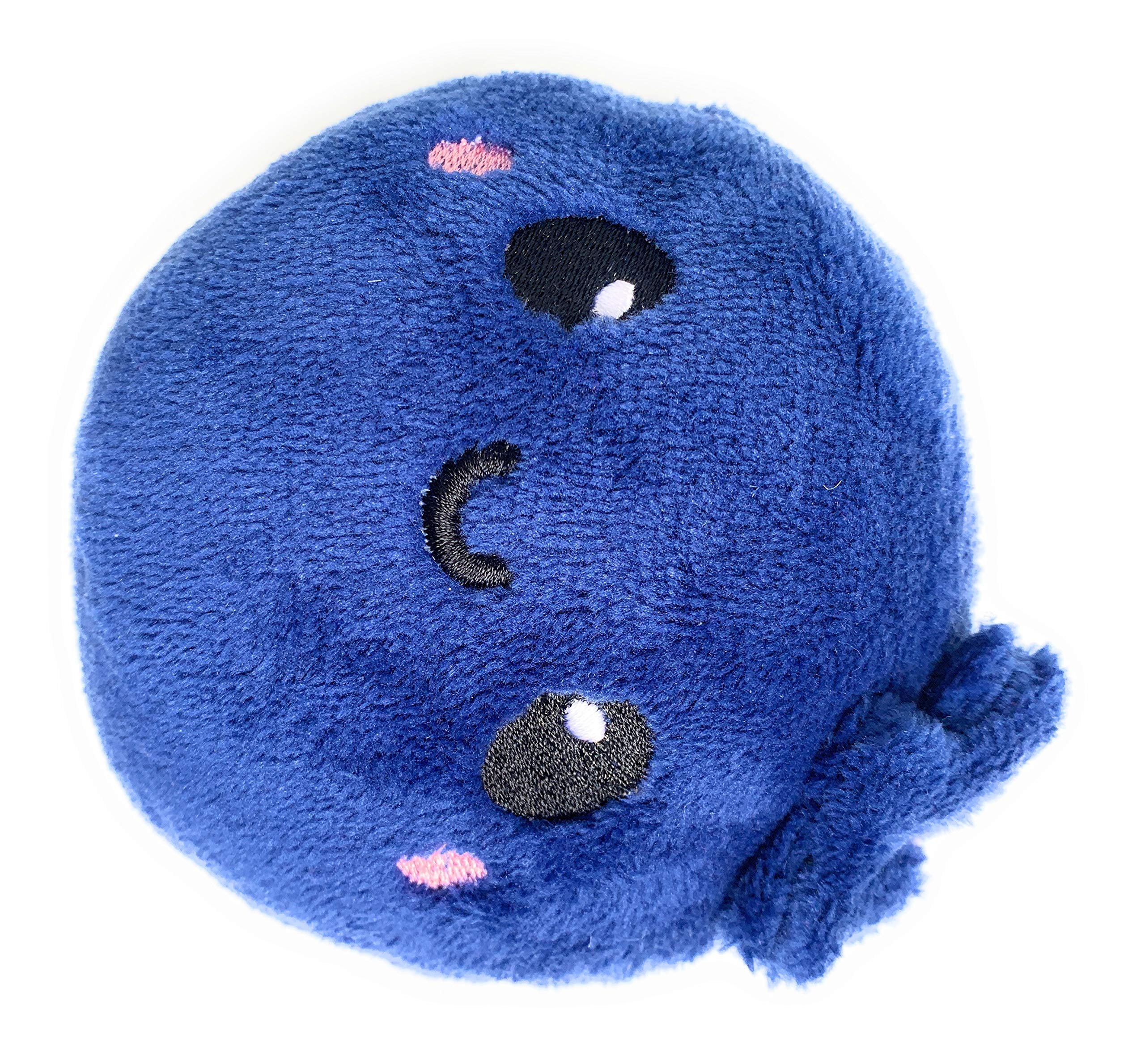 Adorable Blueberry Plush Stuffed Toy - Super Soft Kawaii Cute Pillow for Kids, Girls Bedroom Decor, Anime Gift & Stress Relief (Perfect for Cuddling, Gifts & Room Decoration)