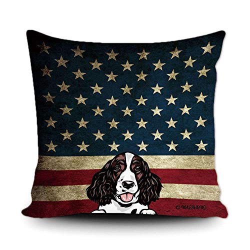 English Springer Spaniel