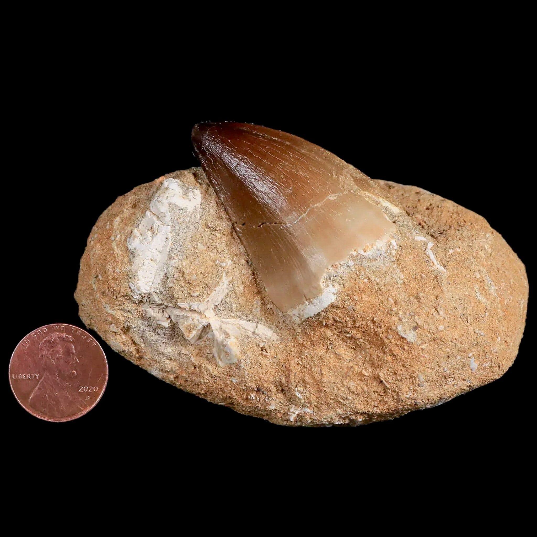 1.8