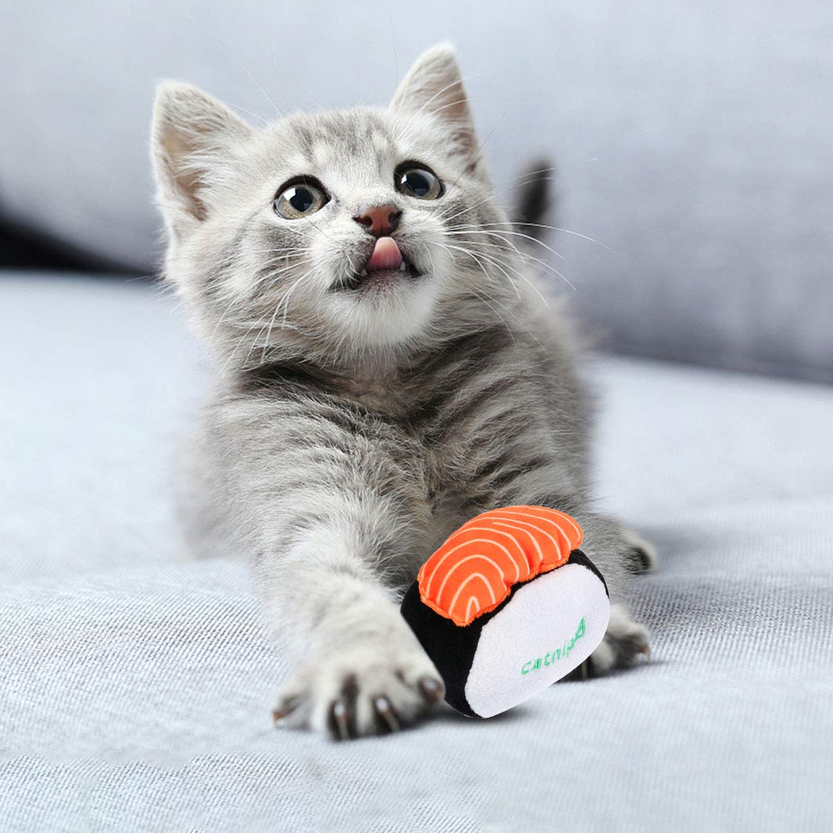 6pcs Interactive Chew Toys for Puppies & Kittens - Pet Teething Toys for Dogs & Cats, Dental Training, Fetch & Play - Perfect for Puppy Teething, Kitten Playtime & Small Pet Entertainment