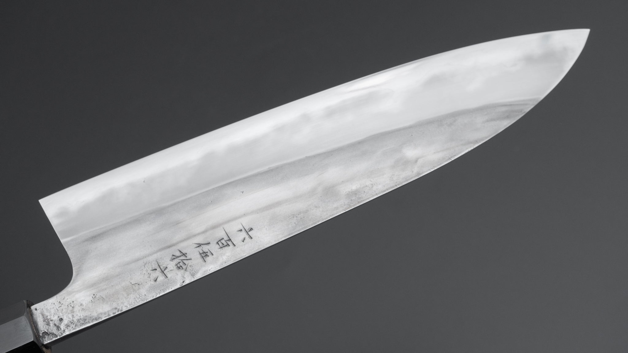 Premium Jiro Tsuchime Wa Gyuto 240mm Japanese Chef Knife with Taihei Tagayasan Handle - Perfect for Sushi, Meat Cutting & Professional Kitchen Use