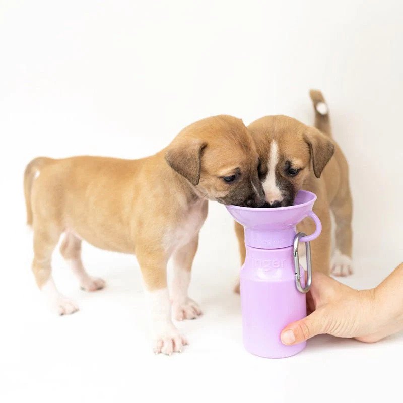 Portable Dog Water Bottle for Travel - Leak-Proof Pet Water Dispenser with Foldable Bowl - Perfect for Hiking, Walking, and Outdoor Adventures