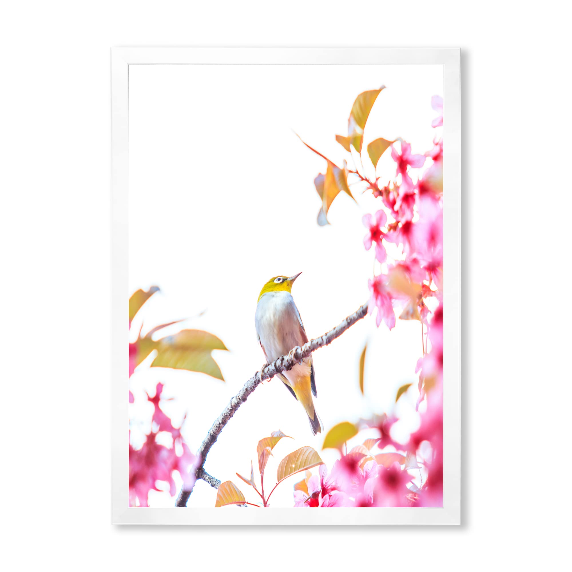 DesignQ Traditional Framed Wall Art - Cherry Blossom with Bird Painting - Home Decor for Living Room, Bedroom & Office
