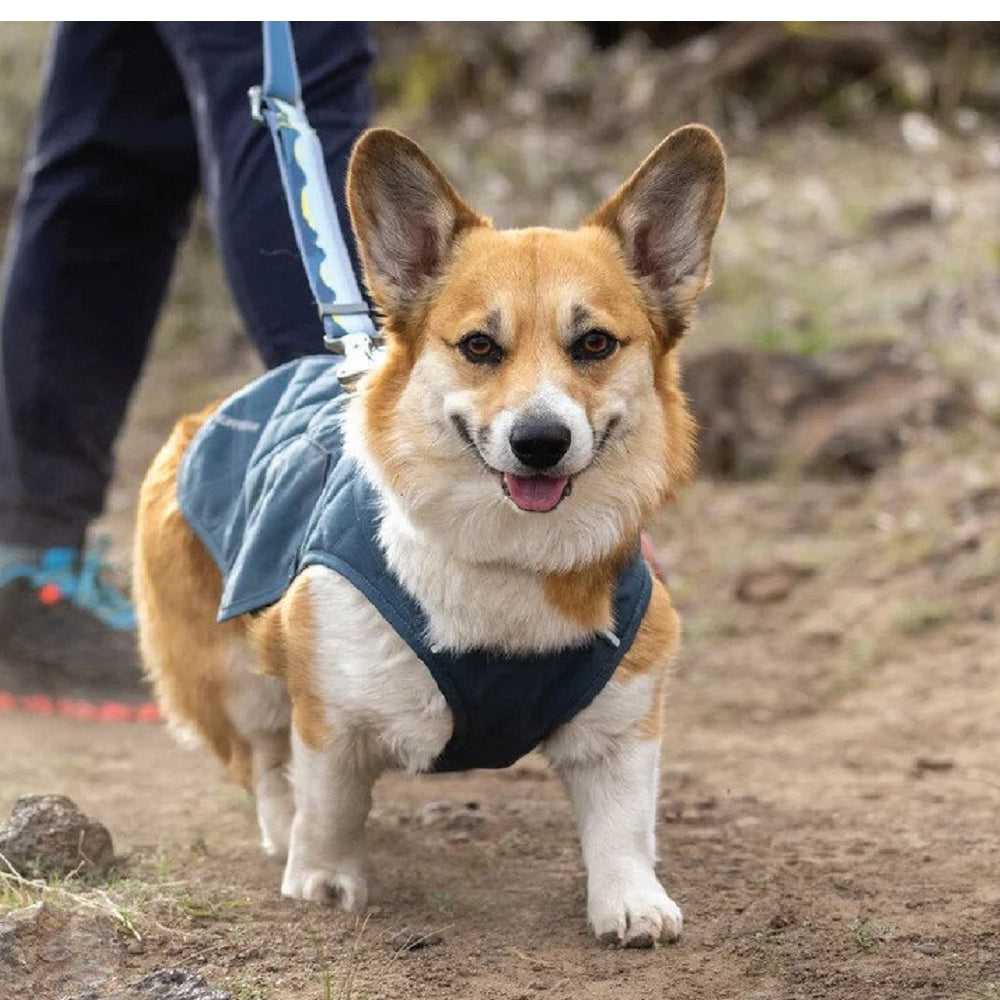 Stumptown Dog Jacket - Waterproof & Reflective Winter Coat for Small, Medium & Large Dogs - Perfect for Cold Weather Walks & Outdoor Adventures