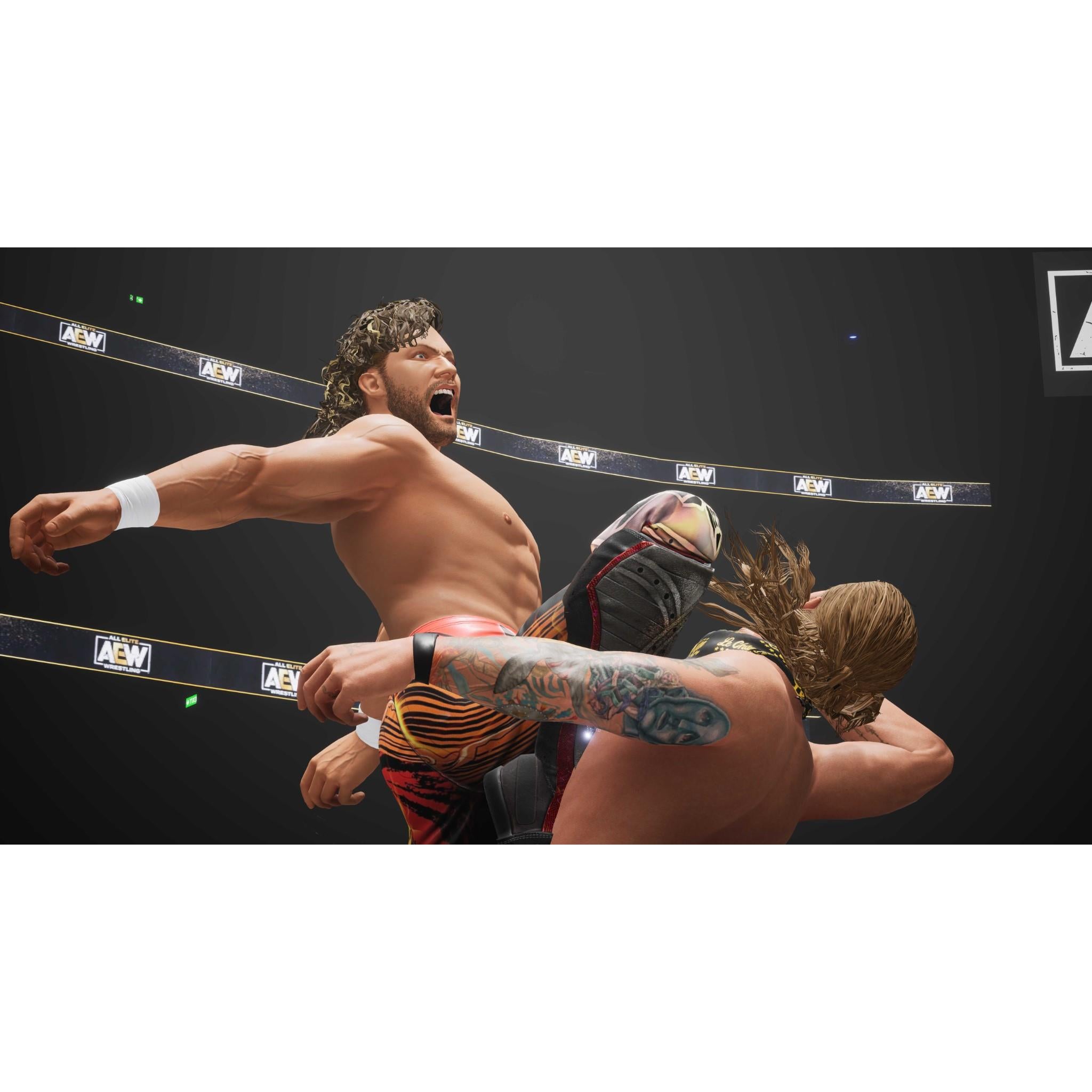 AEW: Fight Forever - Official Wrestling Video Game for PS5, Xbox & PC | Multiplayer Action, Career Mode & Custom Characters | Perfect for Wrestling Fans & Gamers
