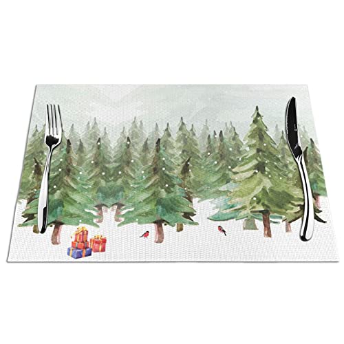 Christmas Pine Forest
