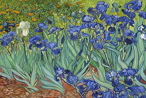 Irises