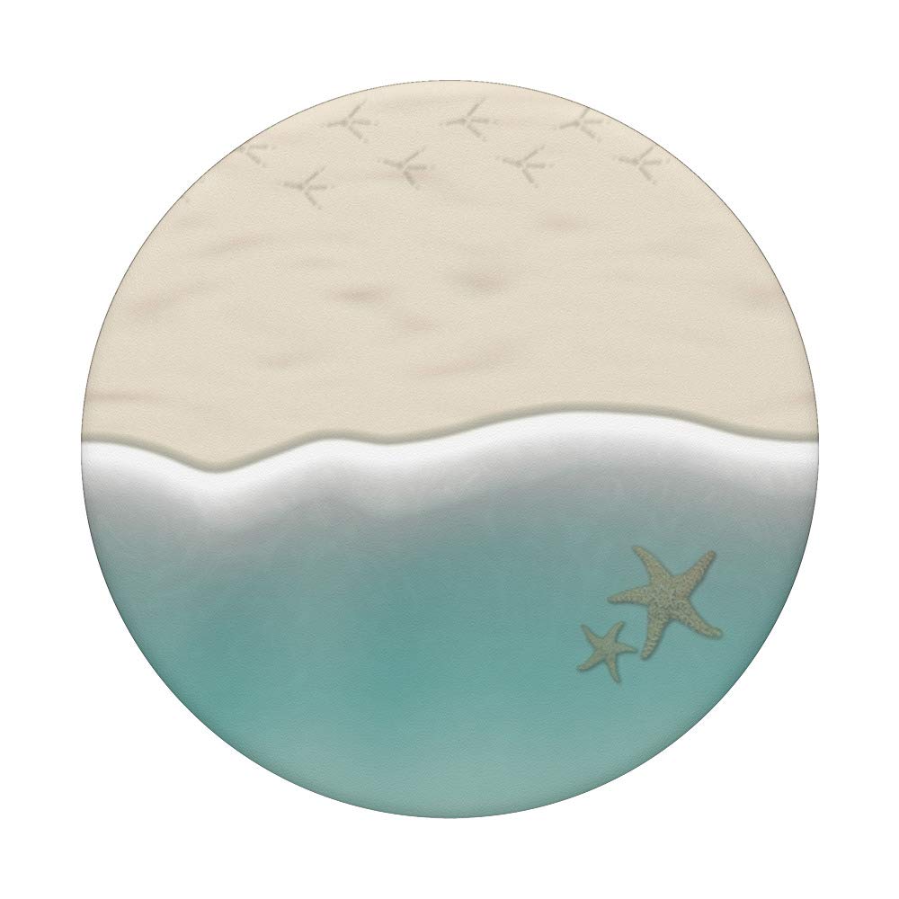 Hawaii Beach Sand Starfish - Natural Seashell Souvenirs & Gifts for Beach Decor, Wedding Favors, Coastal Home Decor
