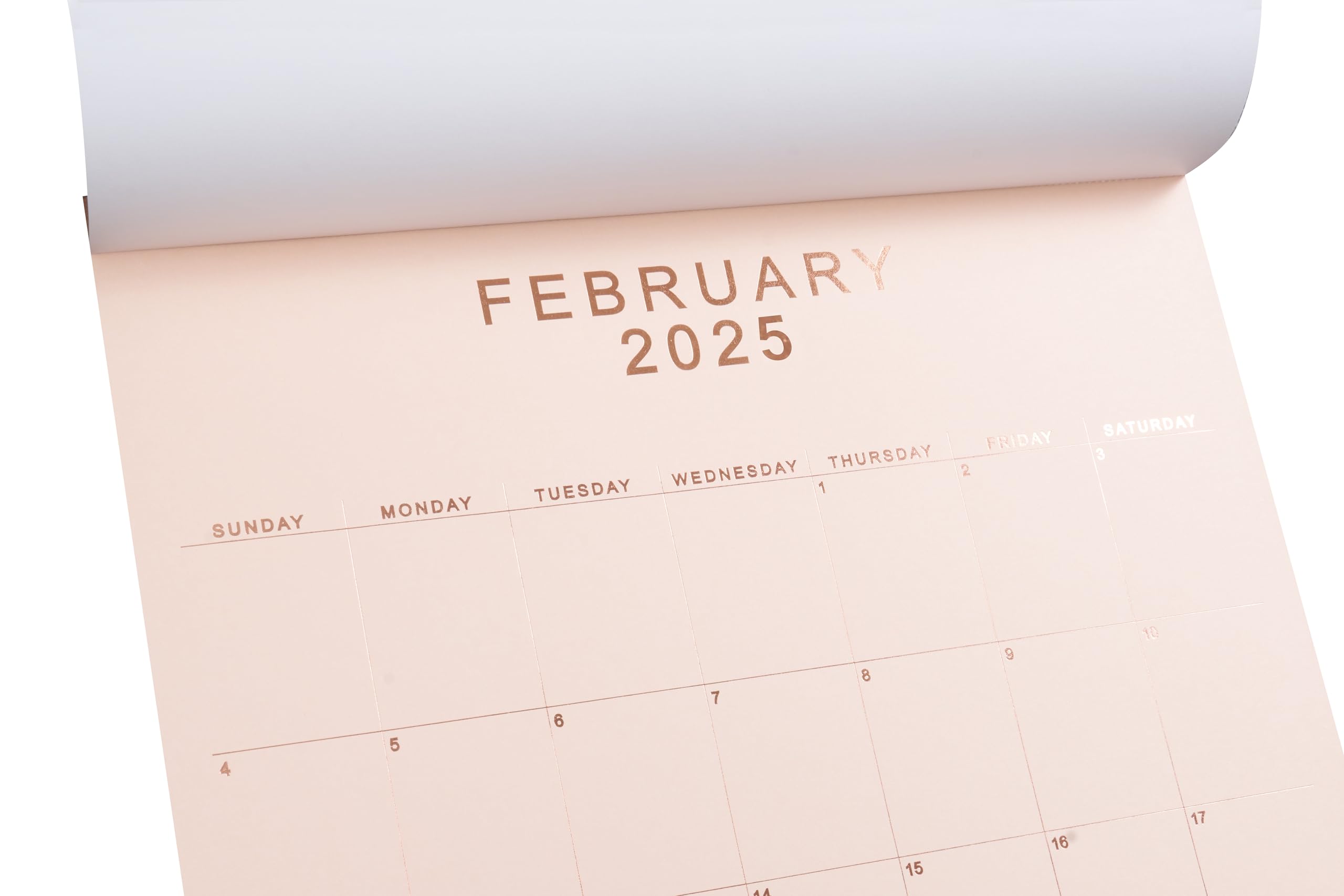 2025 Wall Calendar 12x15 Inches - Elegant Rose Gold Foil Monthly Planner with Peel-Off Pages | Large Print Hanging or Desk Calendar | Pastel Multicolor Paper | Jan-Dec 2025 (5 Colors) - Perfect for Home, Office & Gift Giving