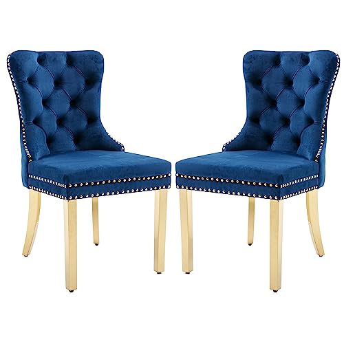 Blue+golden Stainless Steel Leg
