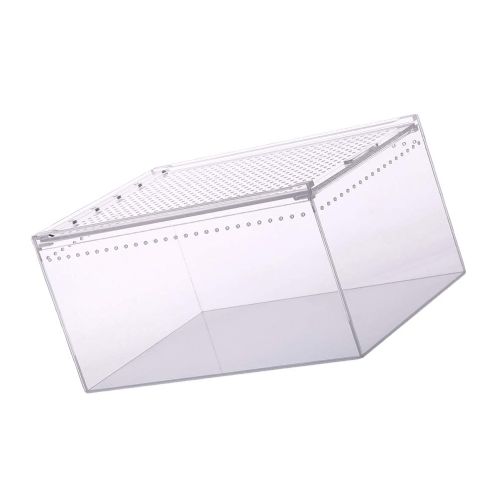 ULTECHNOVO Acrylic Reptile Terrarium Tank - Transparent Breeding Box for Lizards, Spiders & Invertebrates (10.3x8.3x6cm) - Perfect for Pet Feeding, Habitat Display & Climbing Activities