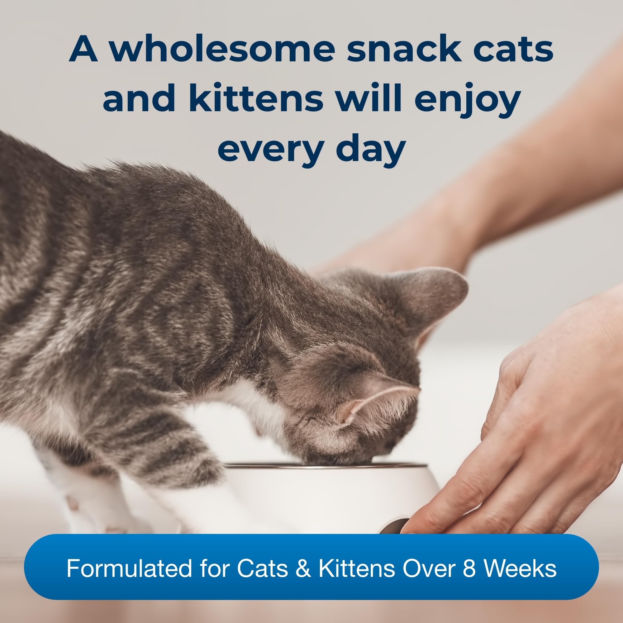Pet-Ag Cat-Sip Real Milk Treat for Cats & Kittens - 8oz, 6 Pack - 99% Lactose-Free Low-Fat Grade A Milk Snack - Promotes Hydration, Eye & Heart Health - Easy to Digest Ready-to-Feed Cat Milk - Perfect for Treat Time, Training Rewards & Hydration Booster
