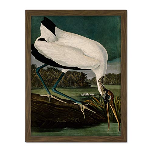 Framed Brown 18X24