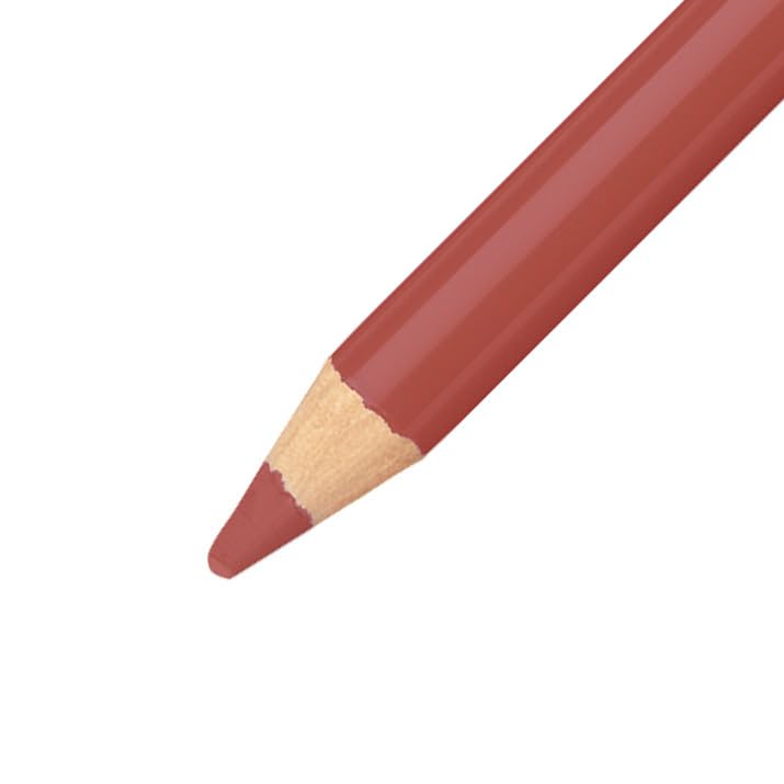 STABILO CarbOthello Pastel Chalk Pencils 12 Pack - Soft Reddish Shades for Artists, Sketching & Coloring | Perfect for Drawing, Blending & Mixed Media Art Projects
