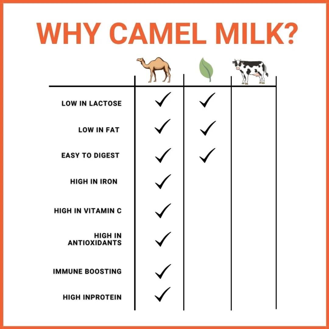 Premium 100% Natural Grade-A Camel Milk - Organic Fresh Frozen Pints - Gently Pasteurized from USA Family Farms - Rich in Nutrients & Probiotics - Perfect for Smoothies, Coffee Creamer & Immune Support (3 Pack)