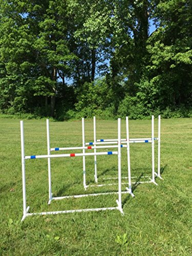 Adjustable Dog Agility Jump Set - 4 Bar Jumps with Jump Cups for Training & Competition | Portable Travel Agility Equipment for Backyard, Park & Outdoor Use