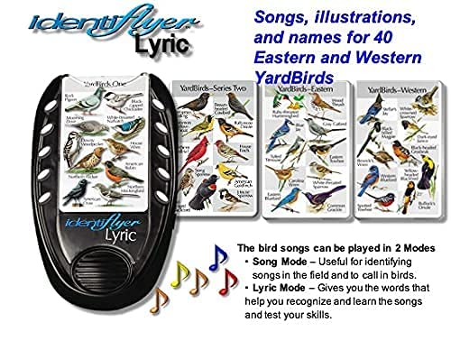Lyric 100 Birds Embroidery Kit with Sewing Machine, 3 Song Cards & Storage Case - Perfect for Beginners, DIY Crafts & Home Decor Projects