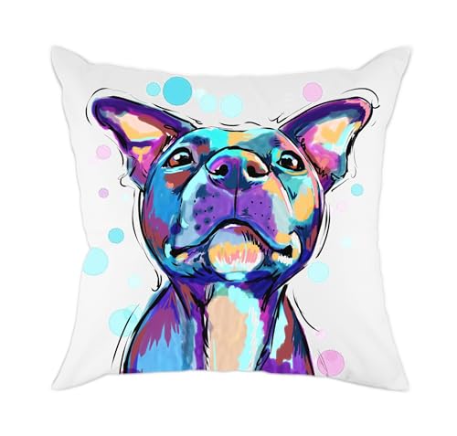 Pit Bull