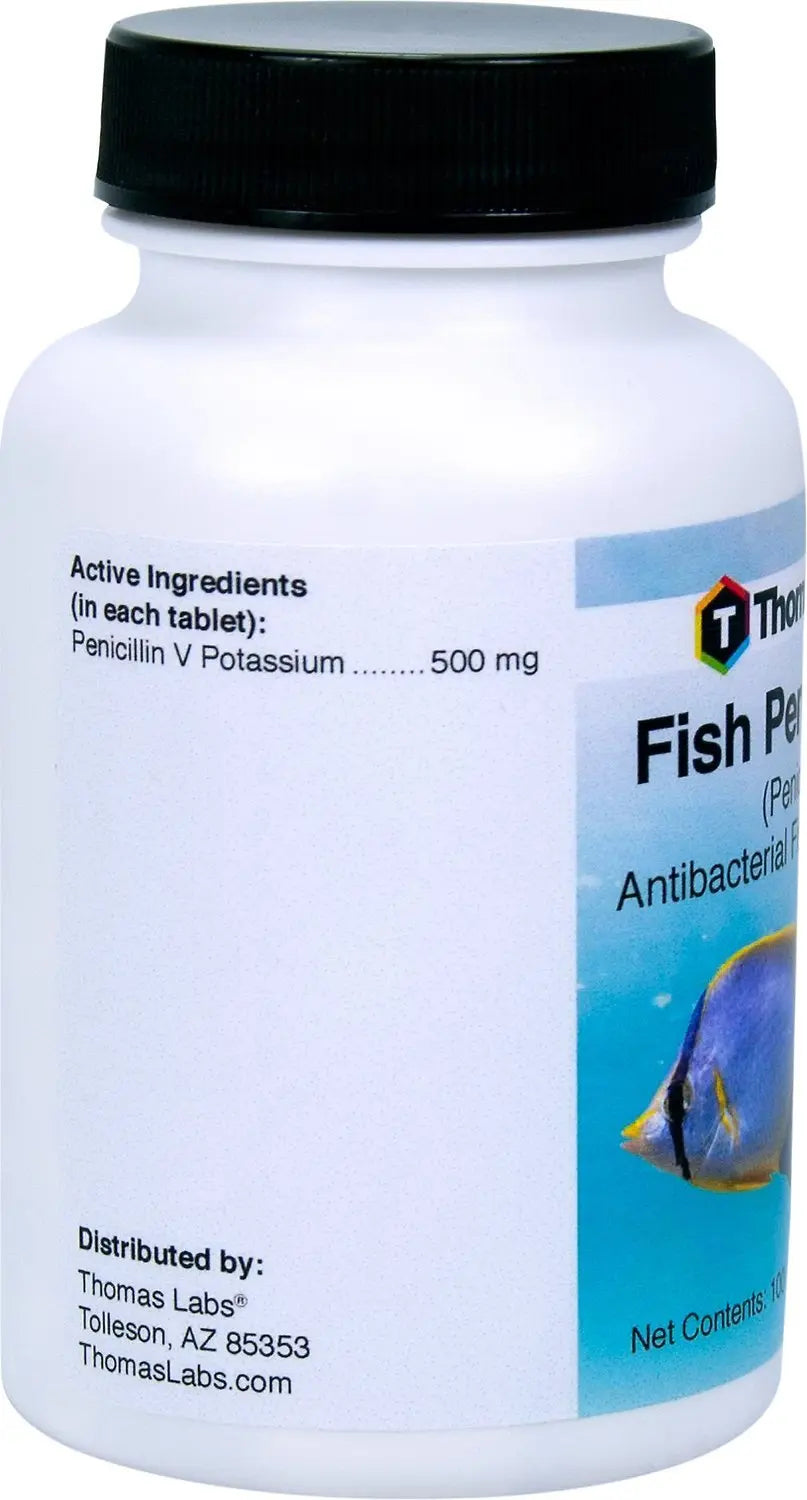 Thomas Labs Fish Penicillin 500 mg Tablets - 60 Count Antibiotic Treatment for Aquarium Fish | Bacterial Infection Prevention & Healing Aid | Perfect for Freshwater & Saltwater Tanks