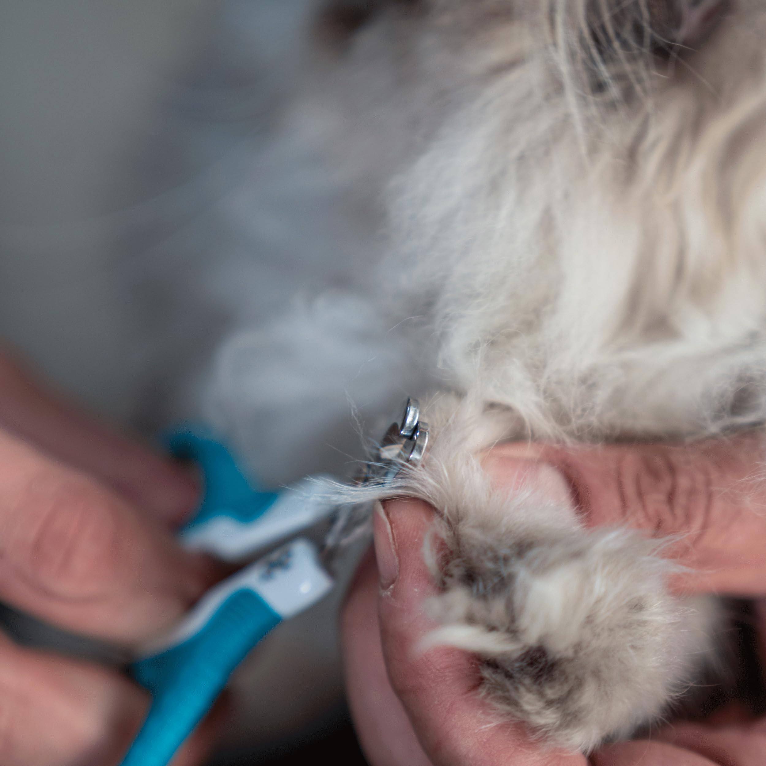 Mr. Pen Cat Nail Clippers for Small Cats & Kittens - Professional Pet Nail Trimmer with Safety Guard - Perfect for Grooming at Home or Vet Visits
