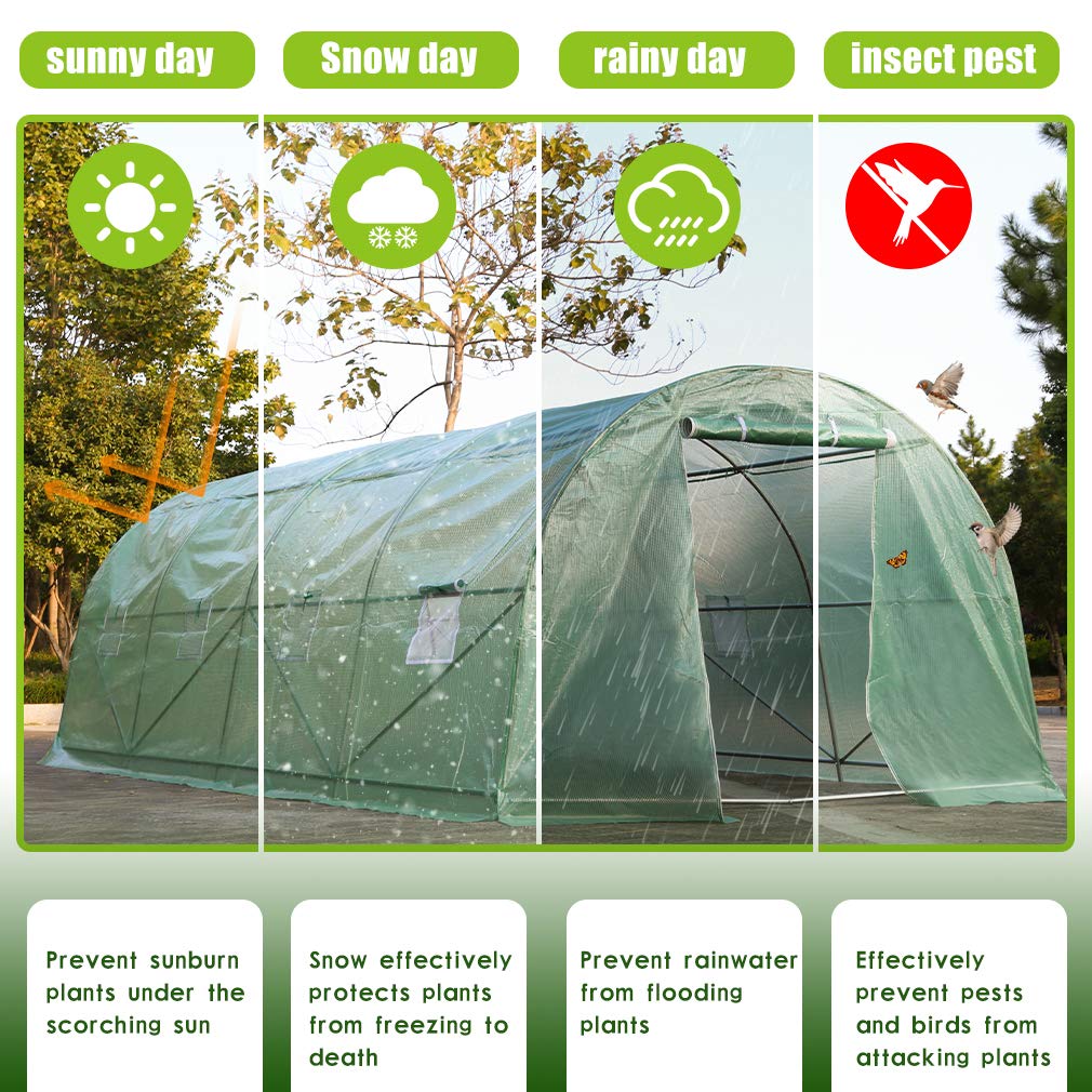 Walk-in Greenhouse Kit with Observation Windows - 15'x7'x7' Outdoor Plant Growing Tent for Vegetables, Flowers & Herbs | Perfect for Backyard Gardening, Patio Plant Protection & Year-Round Cultivation