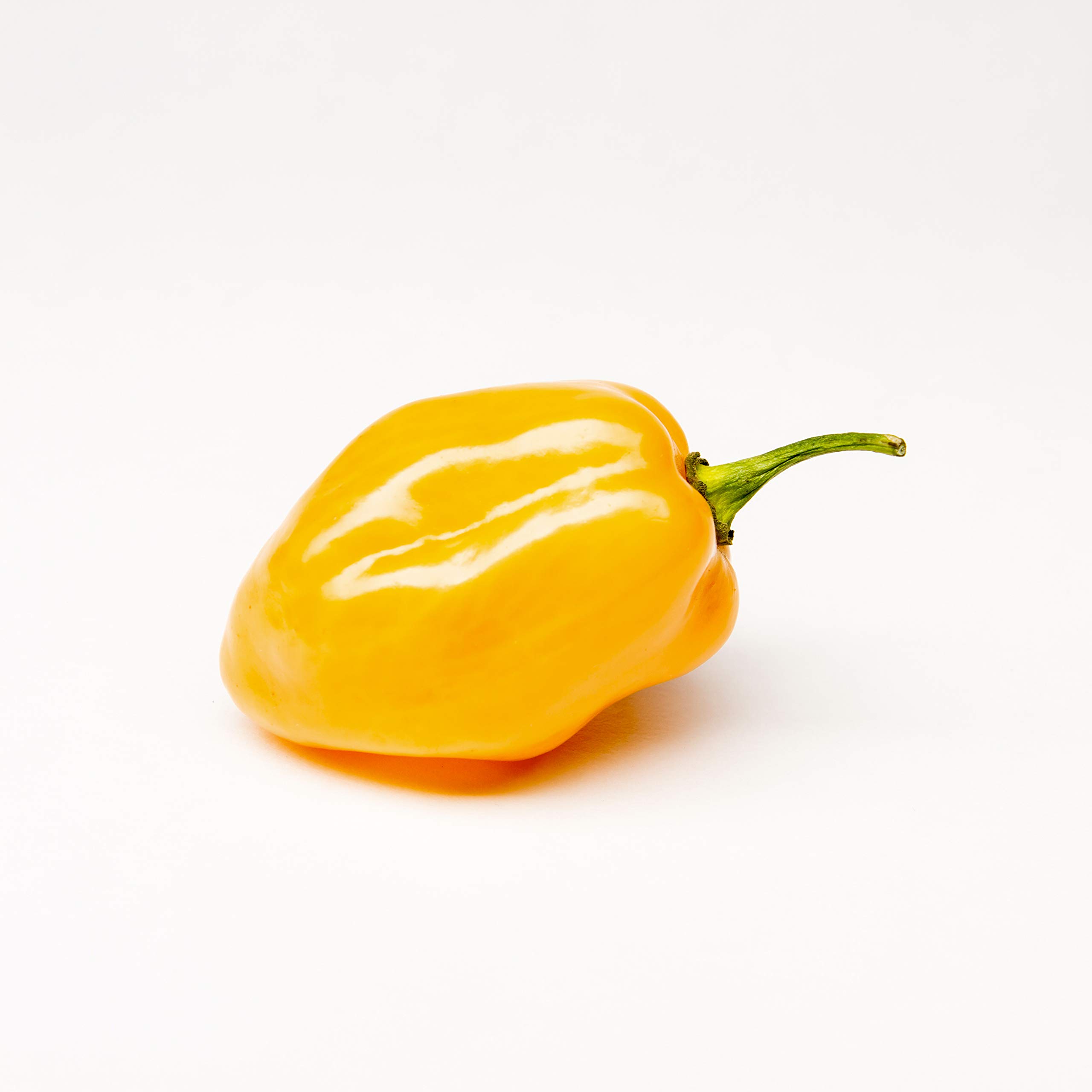 Akabanga Extra Hot Chili Sauce - 100ml (3.38oz) Premium African Spicy Sauce for Cooking, Grilling & Dipping - Perfect for Wings, Tacos & BBQ