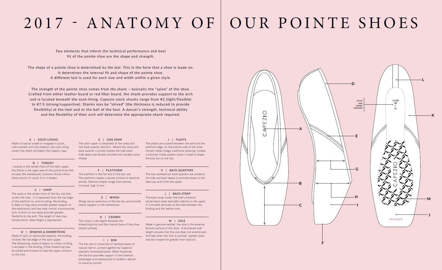 Capezio Women's Contempora Pointe Shoe - European Pink - Size 4.5 EE US - Professional Ballet Dance Shoes for Performances & Practice
