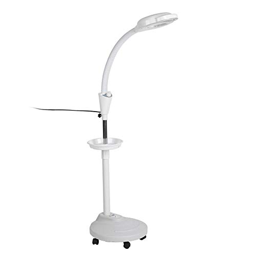Professional LED Magnifying Floor Lamp for Tattoo & Beauty - 8X Adjustable Cold Light with Bright Illumination - Perfect for Eyelash Extensions, Eyebrow/Lip Tattoos, Nail Art - Salon & Home Studio Lighting Solution (US)