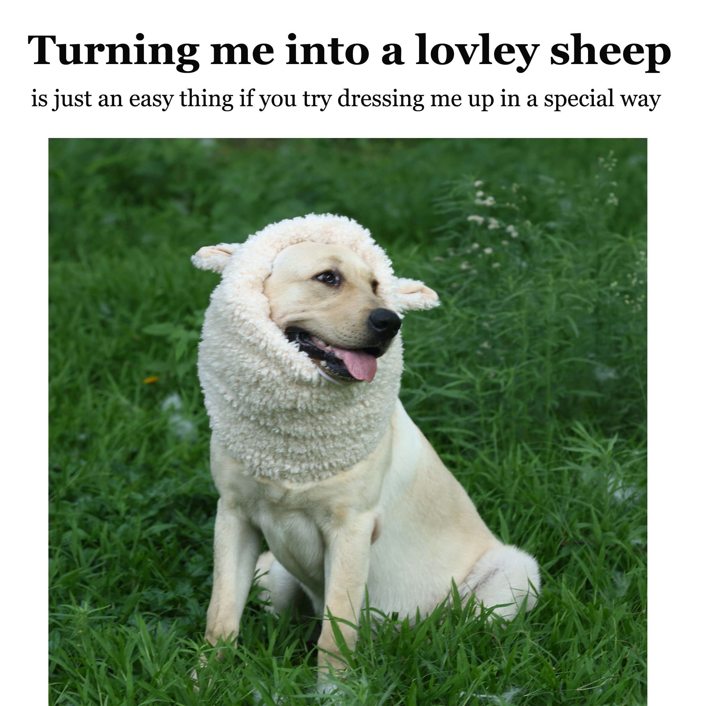 Funny Sheep Dog Costume - Cute Furry Pet Wig for Halloween & Christmas - Size L for Playful Dress-Up
