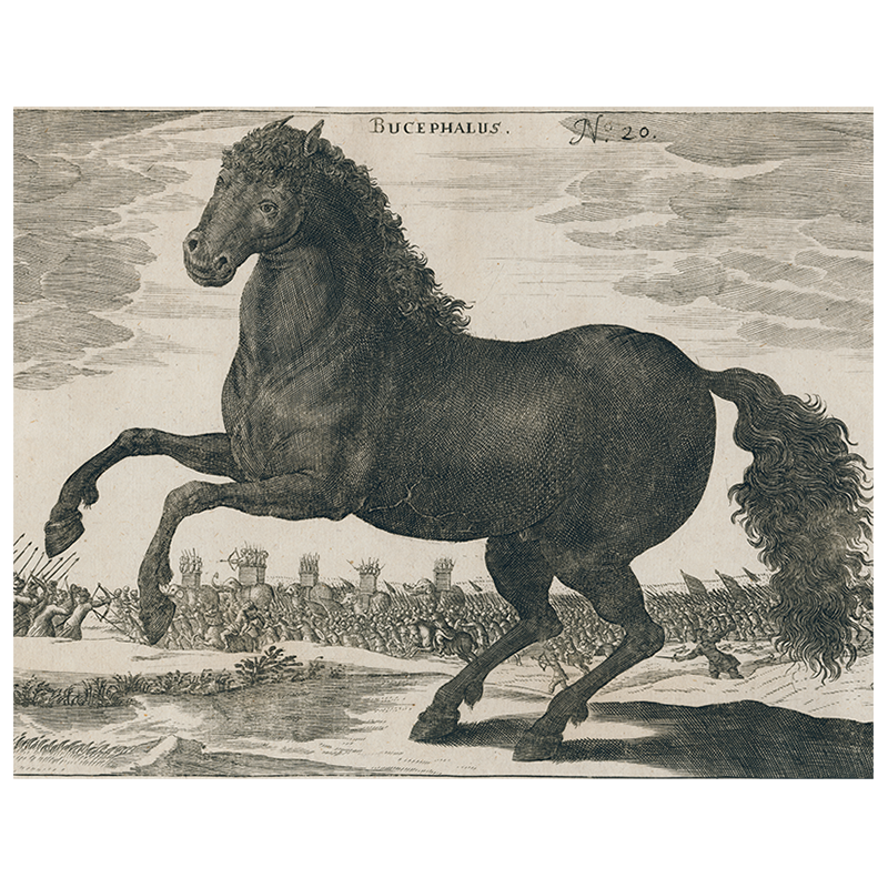 Black Horse (p 269) - Premium Collectible Figurine for Home Decor, Gift, and Display - Perfect for Equestrian Lovers and Collectors