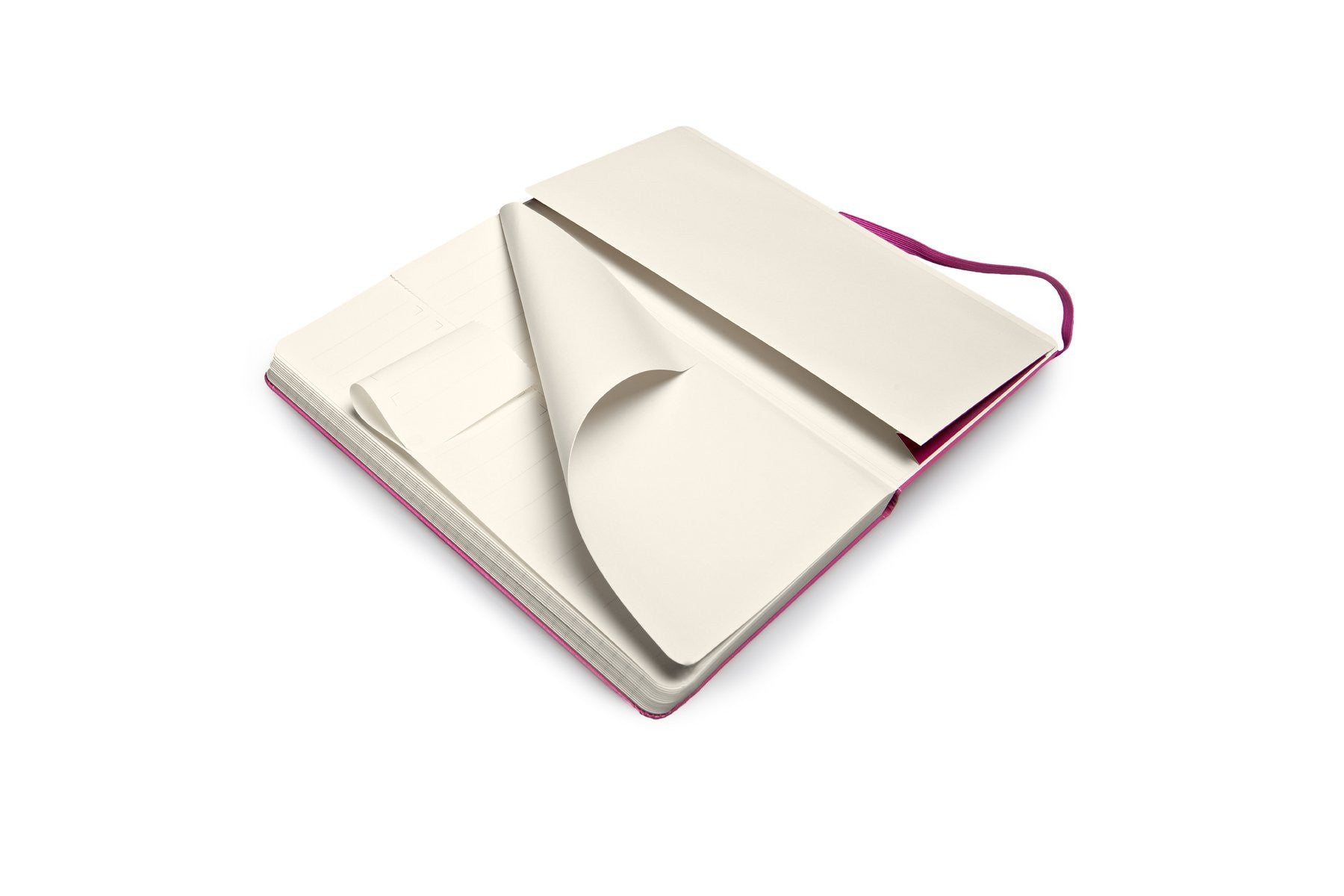 Premium Moleskine Folio Professional Notebook - Large Size (8.5