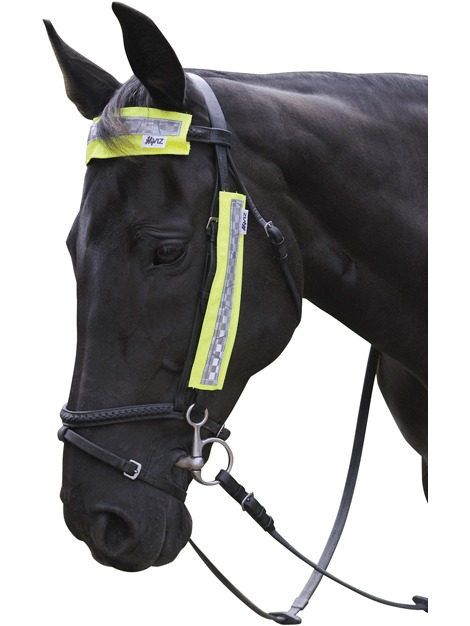 High Visibility Reflective Bridle Set for Horses - Safe Night Riding & Training Gear for Equestrian Sports