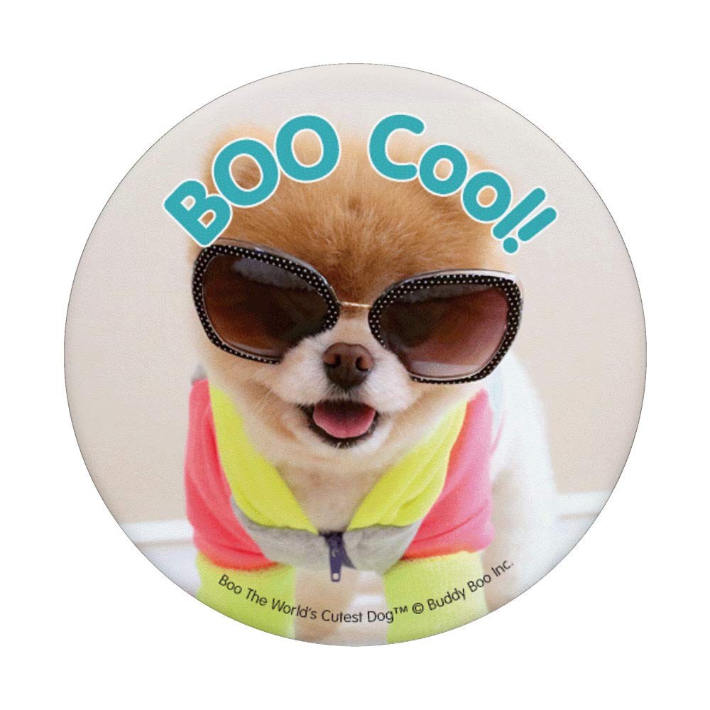 Boo The World's Cutest Dog - Adorable Car Phone Holder Knob for Dashboard | Perfect for Safe Driving & Hands-Free Navigation (Model 6865)