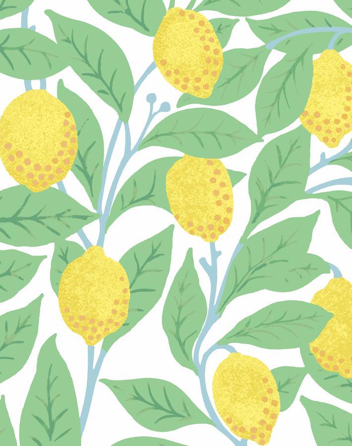 Nathan Turner White Lemons Wallpaper - Peel & Stick Removable Wallpaper for Kitchen, Bathroom, and Home Decor