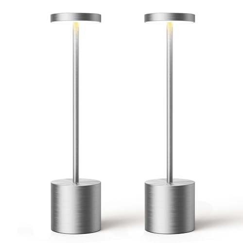2 Pack Silver