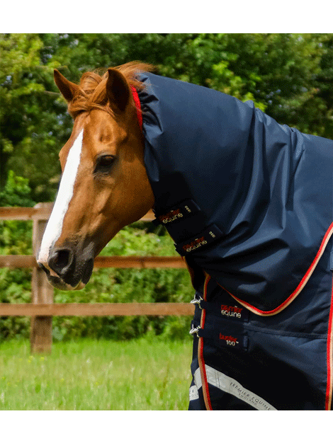Premier Equine Buster 100g Turnout Rug with Neck Cover - Waterproof & Breathable Horse Blanket for Winter Turnout & Stable Use