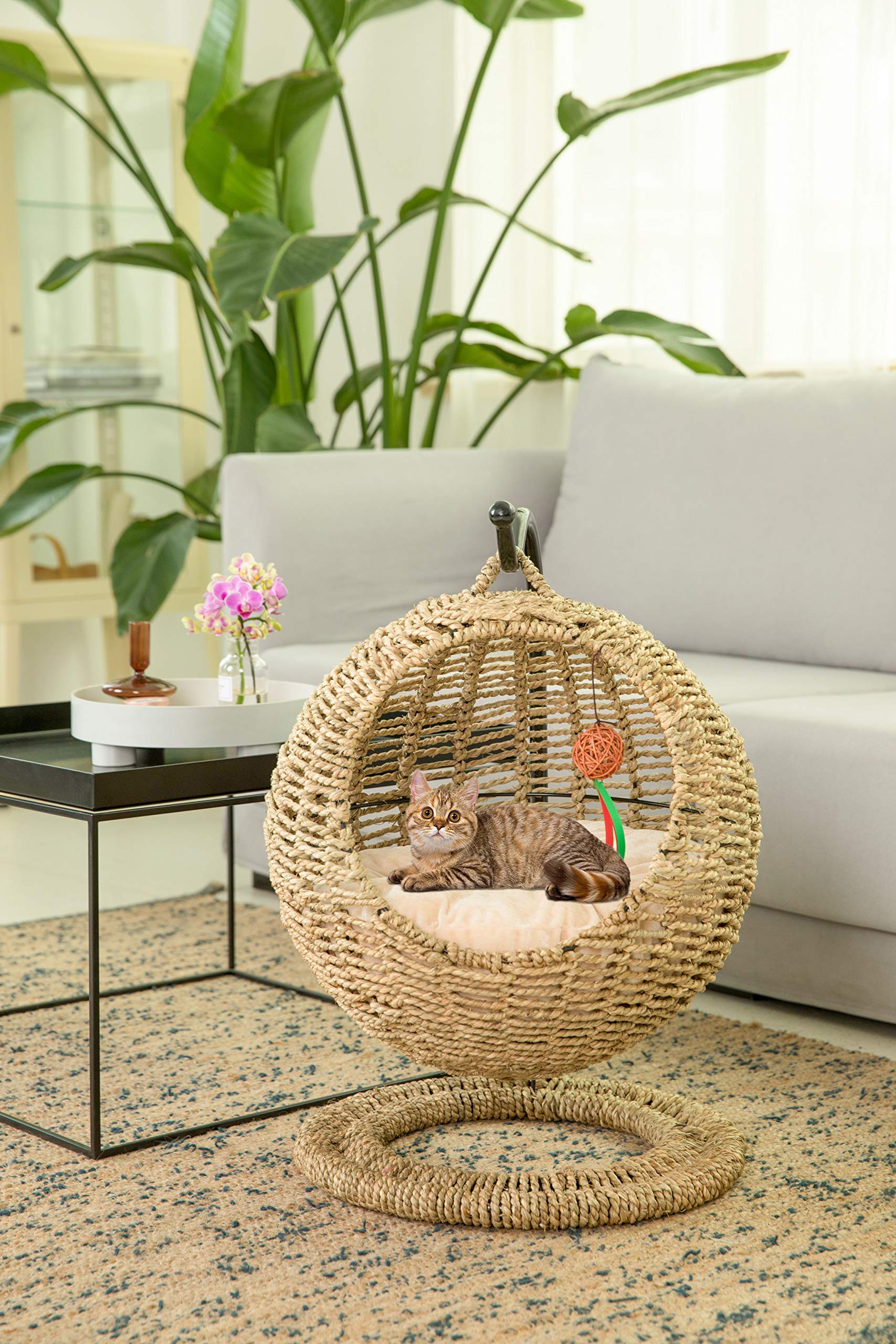 Handmade Wicker Cat Bed - Hanging Pet Basket with Cushion for Small Cats & Dogs | Cozy Indoor/Outdoor Pet House for Lounging & Napping