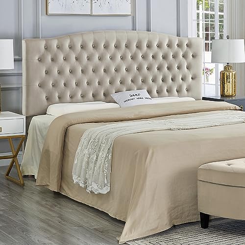 Taupe-king
