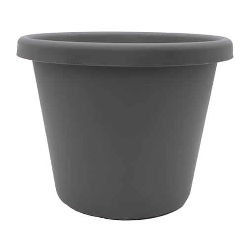 Warm Gray