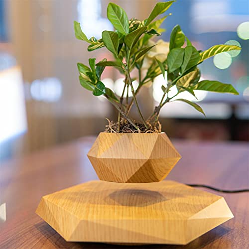 Wood Color