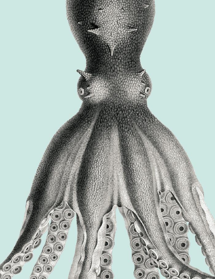 George The Octopus Seafoam Wallpaper by Wallshoppe - Perfect for Coastal, Nautical & Kids Room Decor