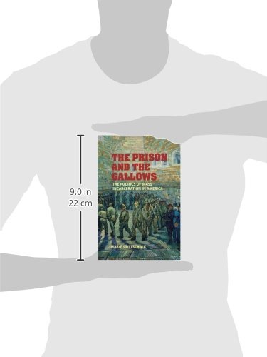 The Prison and the Gallows: Politics of Mass Incarceration in America - Cambridge Criminology Studies | Perfect for Criminal Justice Research & Political Science Studies