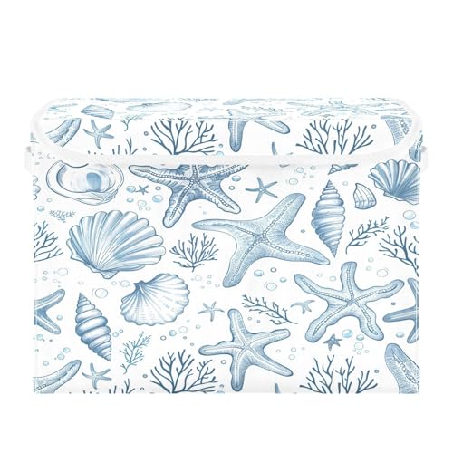 Coral and Shells