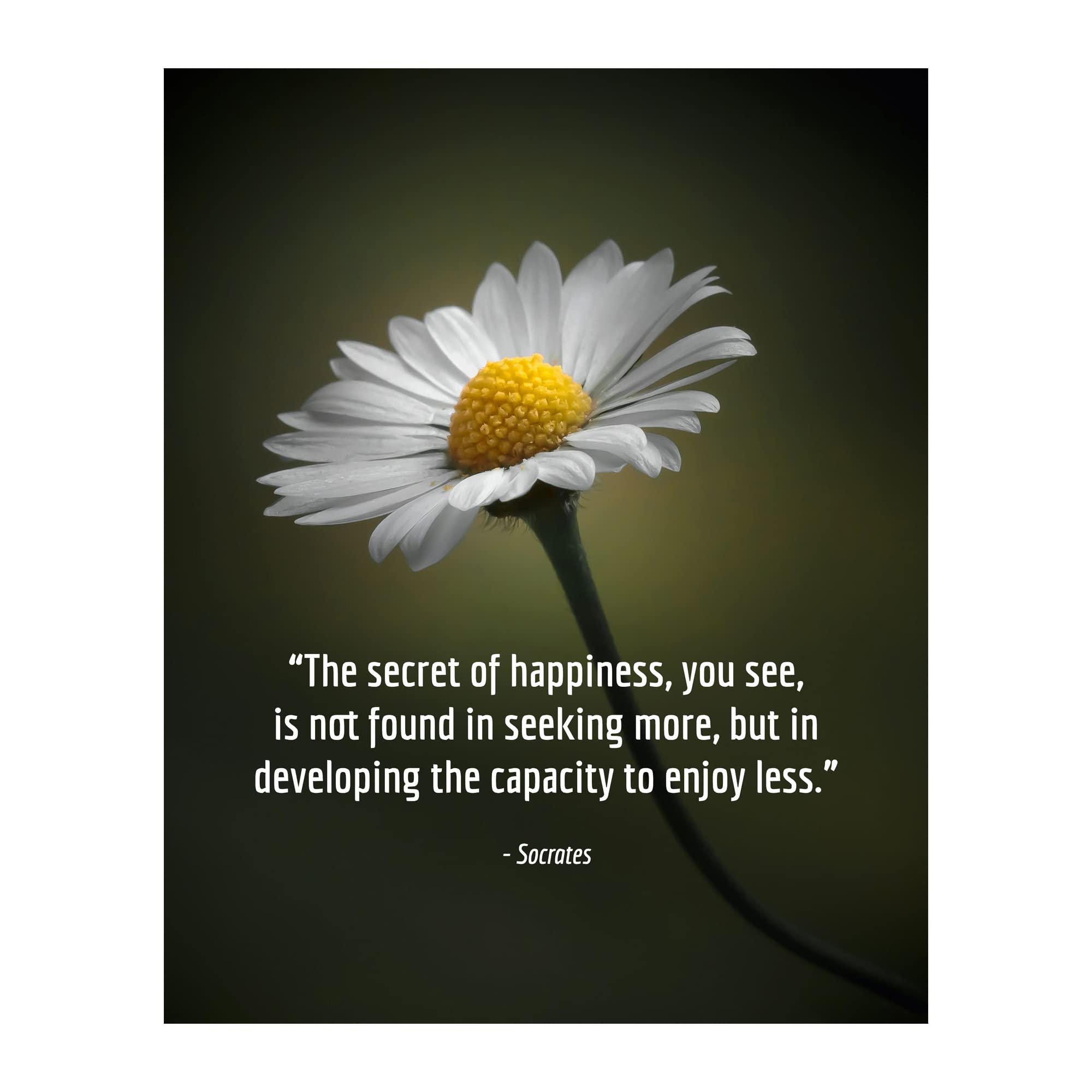 Socrates Quotes Wall Art - Inspirational Philosophy Print with Floral Design, Motivational Decor for Living Room, Home, Office & Bedroom - Unframed 8x10 - Perfect for Study Spaces & Meditation Rooms